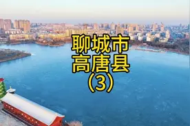 聊城市高唐县，高唐的名人有#李苦禅 ，还有#王富仁视频封面