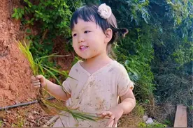 1200多万人看过的“萌娃插秧回家路上唱`上学歌`”... 后续“春风不解风情，吹动少年的心”来喽！孩子的快乐如此简单！#人类幼崽小奶音 #萌娃唱歌 #我的乡村生活视频封面