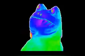 每日一遍，开心来见 兄弟们！让我们嗨起来好吗 #搞笑 #看一遍笑一遍 #万万没想到 #娱乐评论大赏 #搞笑视频