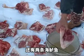 东北天气回暖 阳台大冰柜冻的食物化了，你家怎么处理...#辽宁沈阳#日常唠嗑 #东北天气视频封面