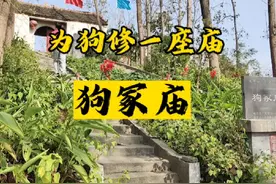 祭祀狗的庙，相传光武帝刘秀为感谢白狗救命之恩视频封面