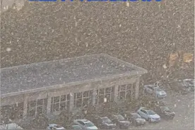 1月6日，山东烟台。2025年烟台首场降雪，还是“太阳雪”呢！虽然不大 但氛围感有了视频封面