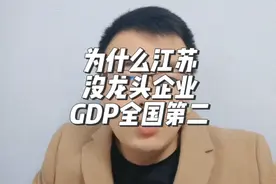 为什么江苏没龙头企业却有全国第二的GDP #经济 #财经 #江苏#掘金计划2024 #财经知识视频封面
