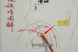 响亮的流氓哨原理图解，这下都看懂了吗#流氓哨教学 #口哨#上热门视频封面