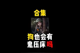 禁止废话：狗也会有鬼压床吗？涨知识了 #科普一下 #内容过于真实