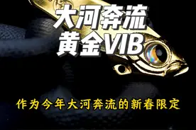 2025限定款大河奔流黄金VIB #路亚视频封面