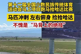 跑马拾哈达，不愧是“马背上的绝技”！视频封面