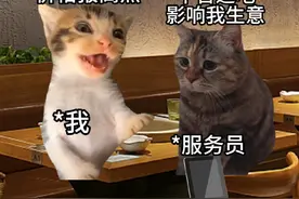 当我想在弟弟面前装一把 #姐弟日常 #离谱操作 #精神状态良好 #弟弟绝对是亲弟弟 #猫meme视频封面