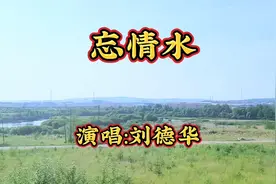 刘德华演唱《忘情水》情感深沉、旋律优美，引发心灵共鸣。