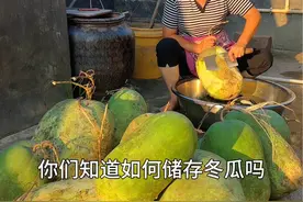 把地里吃不完的冬瓜摘回去，晒干储存起来，吃上一年都不会坏，用来炒菜炖汤都好吃～#我的乡村生活 #农村美食 #冬瓜