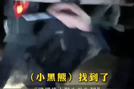 邯郸佛山野生动物园：#已找到逃跑的黑熊，并安全转移至园内视频封面
