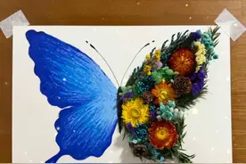 “不纠结 不焦虑，没有什么比自己的感受更重要，请记得尽量开心”|油画棒立体蝴蝶教程#油画棒 #手工diy #手工礼物 #蝴蝶 #干花视频封面