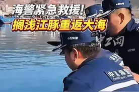海警紧急救援！搁浅江豚重返大海视频封面