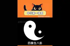 中华第一审图！高速旋转中的太极图居然隐藏着神奇的现象 #科普 #太极 #太极图 #阴阳 #硬核知识局