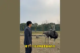 拍戏之余，要多动动脑子！视频封面