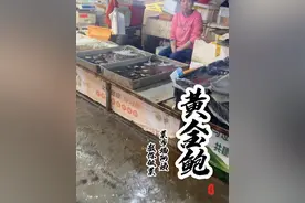 同学们，这个鲍鱼都吃过吧？你们都是怎么吃的呢？你知道3头鲍是什么意思吗？#请用家乡话说出它的名字 #抖音美好食光 +#菜市场阿姨教你做菜 #黄金鲍  #新农人计划2024