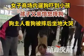 11月10日（发布时间），湖北武汉。女子商场内遛狗吓到小孩，孩子父亲愤怒摔狗。狗主人看狗被摔后坐地大哭 。视频封面