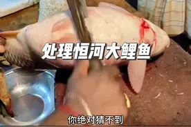 处理一条大肚子的恒河大鲤鱼，你绝对猜不到他肚子里装了什么#钓鱼 #户外 #抓鱼 #鲤鱼#市场视频封面