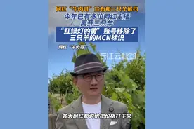 网红“牛肉哥”和三只羊解约，今年已有多位网红主播和三只羊解约视频封面