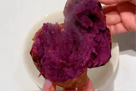 云南蜜糖紫薯 大家一直找我要的紫薯又来了哦，水分足，粉糯中带甜，没有筋，又有营养！孩子们肯定会喜欢吃！#紫薯视频封面