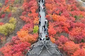 秋天的狼牙山媳妇岭迎来了现在最佳观赏期，约上她来一场属于秋天的盛宴吧#分享一份秋天给你视频封面