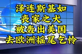 花千芳：泽连斯基如丧家之犬，被轰出美国，去欧洲摇尾乞怜视频封面