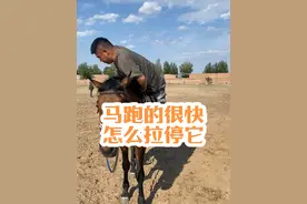 马跑的很快，怎么拉停它#骑马 #推广马术运动 #骑马看世界 #马术教学 #科尔沁骑马场