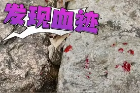 深山惊现新鲜血迹，什么情况？#最酷野外小分队