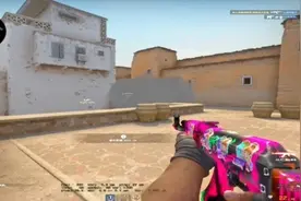 多噶酱，我不会回安定区了#csgo
