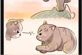 喵喵：妈你别管，猫猫的事你少管，我有分寸，打不屎他 #猫猫的事情你少管 #猫咪的迷惑行为 #猫咪日常 #猫咪的不服全写在脸上 #小猫咪能有什么坏心眼