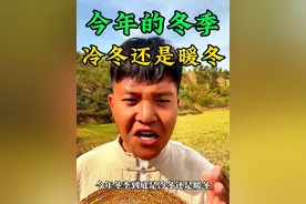 今年冬季是冷冬还是暖冬呢，气象给出了答案#新农人计划2024 #分享农业知识帮农民增产增收 #今年冬天 #来抖音学农技