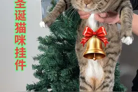 如何把自己的猫做成圣诞挂件 #3d打印 #圣诞节 #TripoAi视频封面