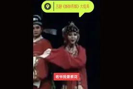 #吕剧《姊妹易嫁》大结局视频封面