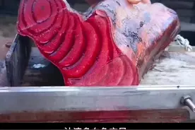 鸡血藤你们认识吗？长见的有，三叶鸡血藤，白花油麻鸡血藤，香花岩豆藤#鸡血藤 #你的家乡有这种植物吗 #大自然的馈赠视频封面