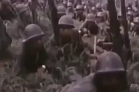 1979年2月，对越自卫还击战实录。  #对越自卫反击战 #历史影像 #越南 #老山精神视频封面