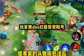 王者玩家用dns精准拦截对局中数据异常的账号