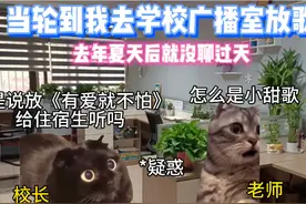 当轮到你去校园广播室放歌#猫meme #东京不太热 #封茗囧菌视频封面