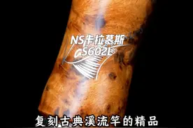 复刻经典的性价比钓竿，好看能打，NS卡拉慕斯 #路亚视频封面