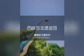 被誉为世界第九大奇迹的西峡恐龙遗迹园居然对属兔或名中带tu视频封面