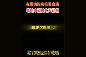 毒蛇中恐怖之天花板，国内没有抗蛇毒血清，被它咬到还有救吗？ 听说治疗费高达几十万#泰国圆斑蝰 #经验分享视频封面
