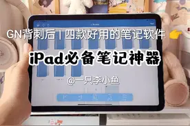 goodnotes背刺是吧！我有的是方法！#iPad笔记软件 #iPad手写视频封面