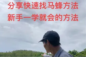 分享快速找马蜂的方法，新手一学就会的方法#真实户外 #户外找蜂 #深山老林走起来 #马蜂 #马蜂窝