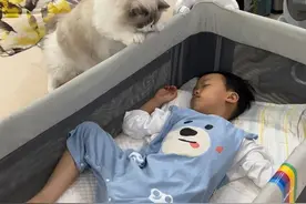 就因为怀孕被猫无意踩了一脚，六年后这猫付出了代价…