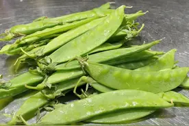 荷兰豆怎么做才好吃？教你这样搭配，翠绿不腻#抖音美食推荐官视频封面