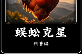 那问题来了鸡的克星是什么？#奇闻趣事 #科普 #动物