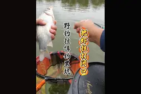 谁说野钓的饵料不能钓黑坑的？ 挑战用野钓的饵料钓黑坑，在45个人中，钓到15斤。视频封面