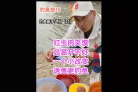 钓鱼技巧，钓鱼新手入门（12）钓鱼红虫肉夹馍正确开饵方式，红虫肉夹馍开饵不跑虫方法，红虫肉夹馍开饵细节#钓鱼 #红虫钓鱼#钓鱼知识钓鱼小技巧  #解锁秋冬钓鱼爆护的秘密 #钓鱼人