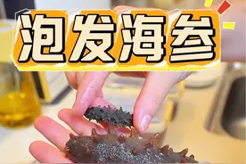 分享泡发海参的方法和海参的两种简单吃法，营养丰富又好吸收，买到靓海参又不会泡发的朋友仔看过来哦～#泡发海参 #滋补养生 #养娃日常