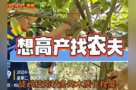 #想高产找农夫 农夫果园和你一起分享高产技术~