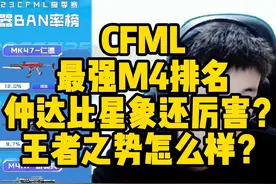 最强M4排名，仲达比星象还厉害？王者之势怎么样？#2024CFM冠军杯视频封面